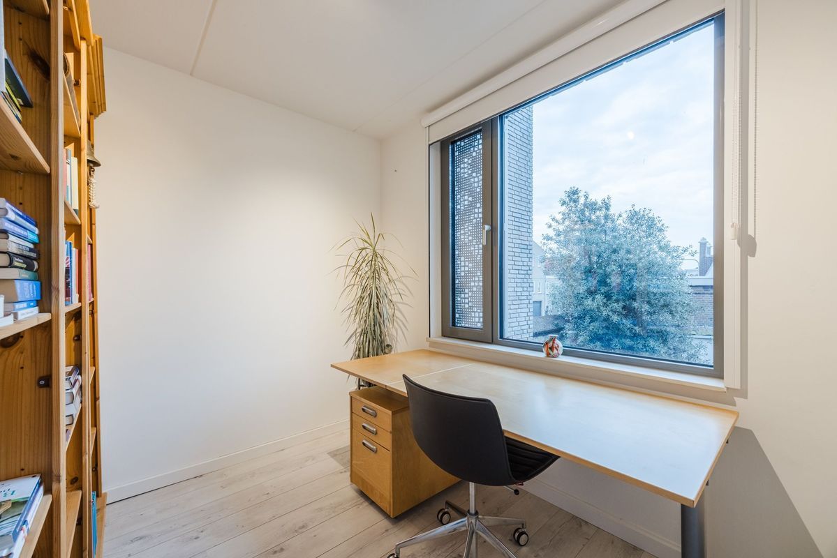 Rooi Hartenpark 1 Photo Blur 19