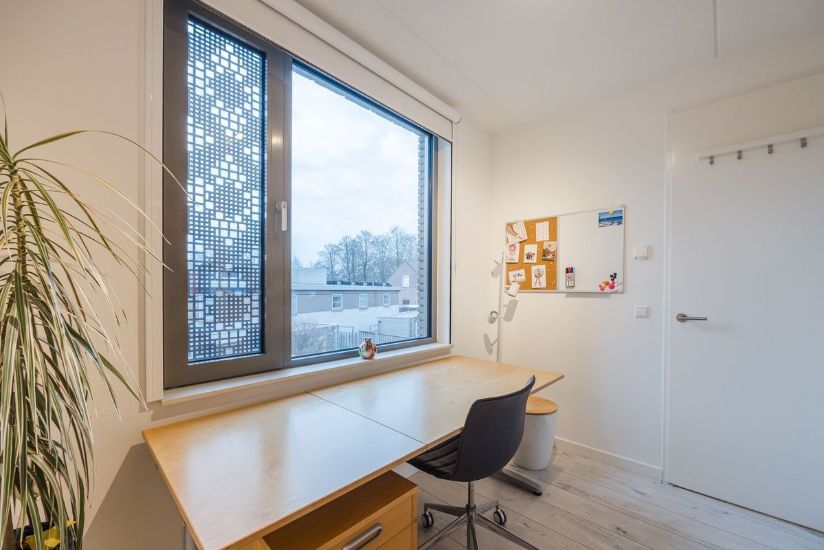 Rooi Hartenpark 1 Photo Blur 20