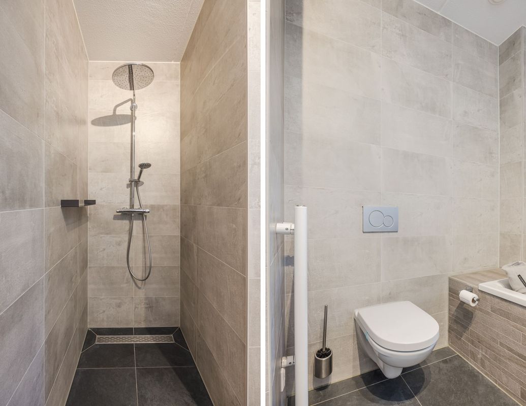 Rooi Hartenpark 1 Photo Blur 25