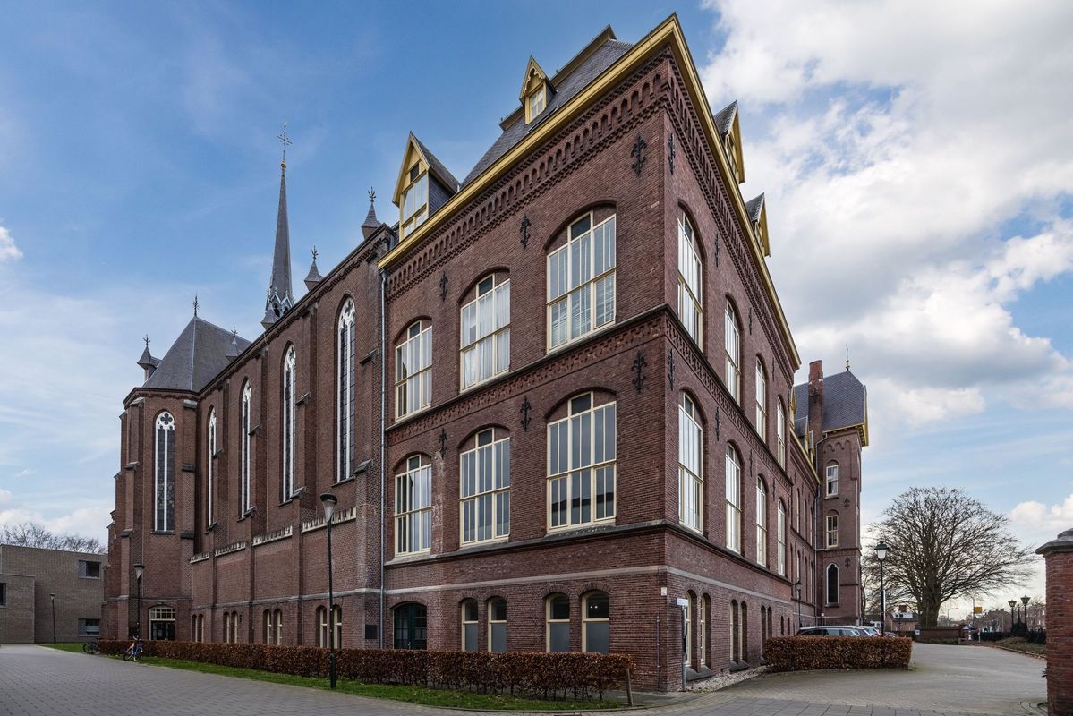 Rooi Hartenpark 1 Photo Blur 46