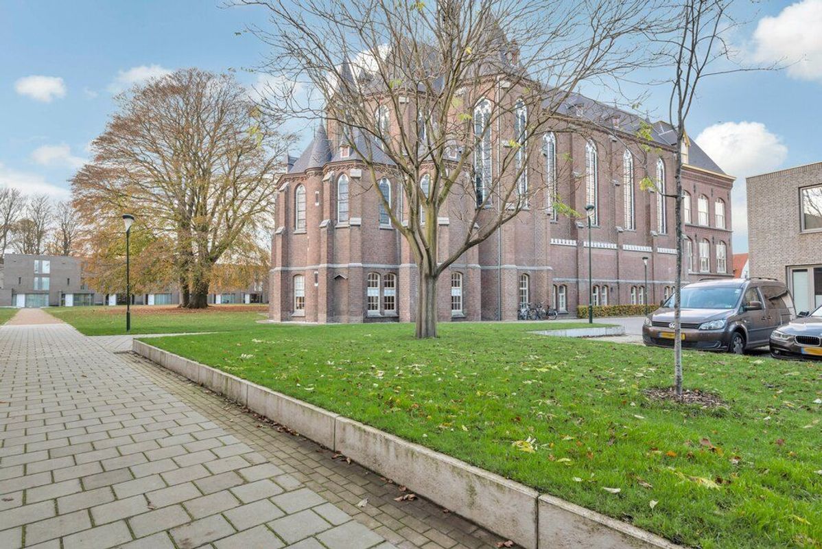 Rooi Hartenpark 1 Photo Blur 43