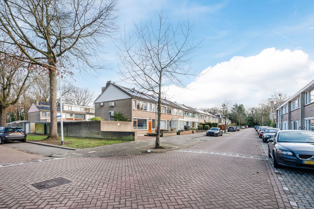 Antoon Coolenlaan 35 Photo Blur 38