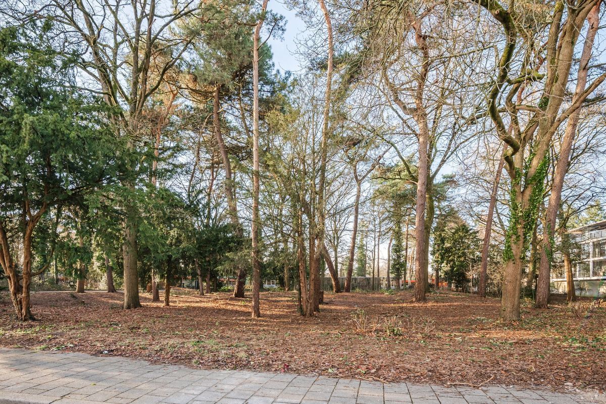 Antoon Coolenlaan 35 Photo Blur 42