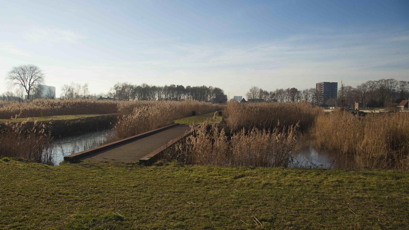 Heile Schoorstraat 25 Photo Blur 39