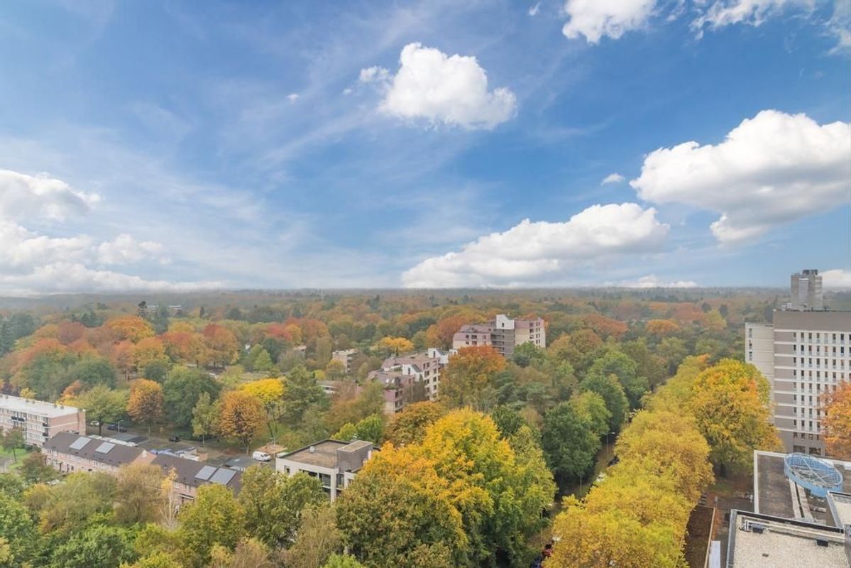 Professor de Moorplein 547 Photo Blur 23