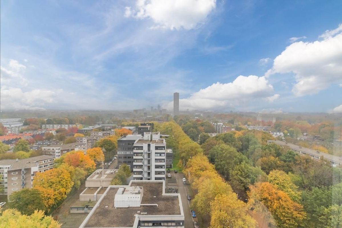 Professor de Moorplein 547 Photo Blur 14