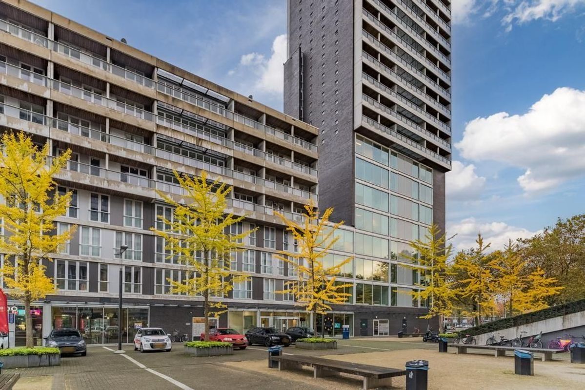 Professor de Moorplein 547 Photo Blur 29