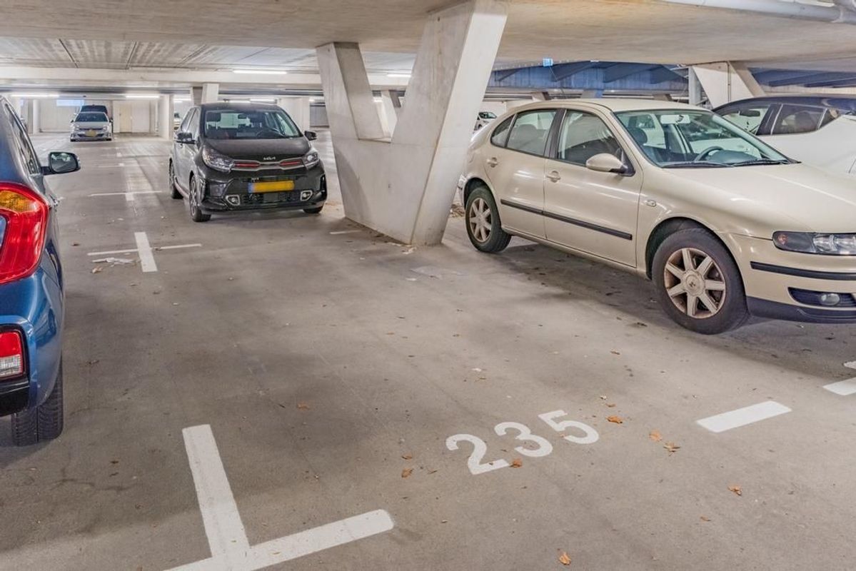 Professor de Moorplein 547 Photo Blur 26