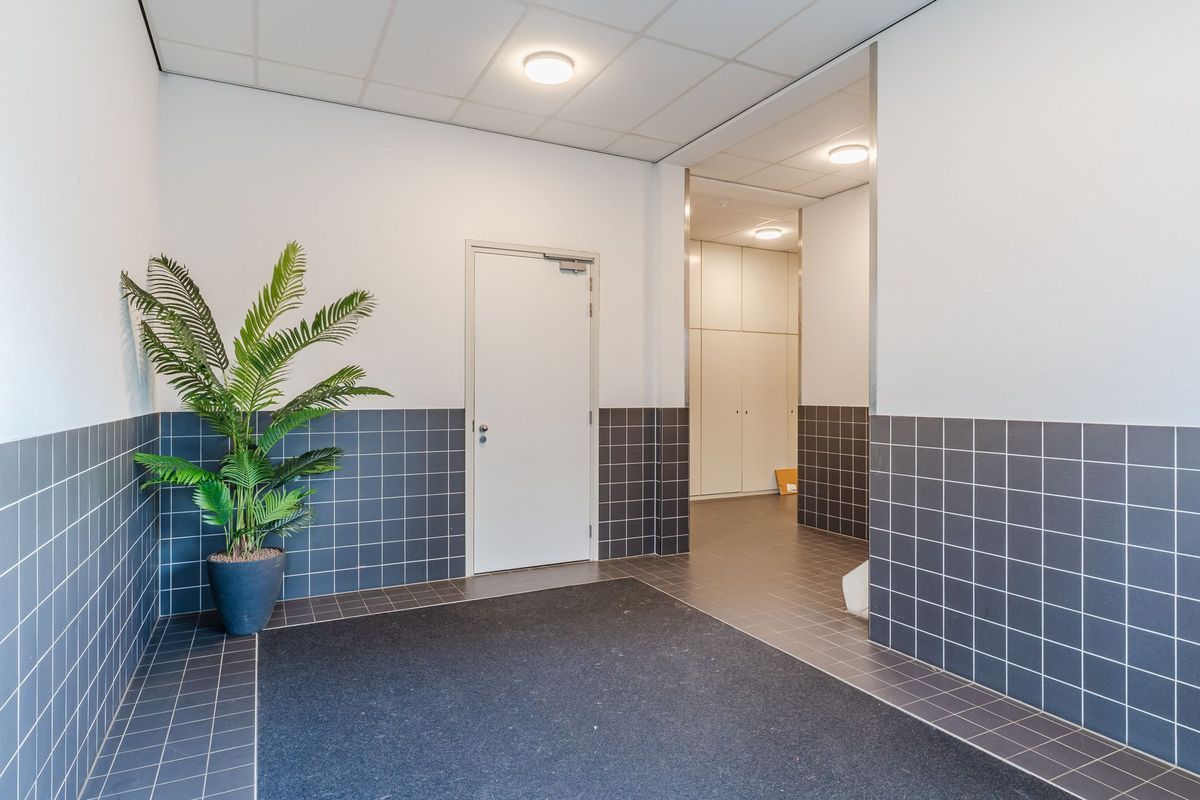 Professor de Moorplein 547 Photo Blur 28