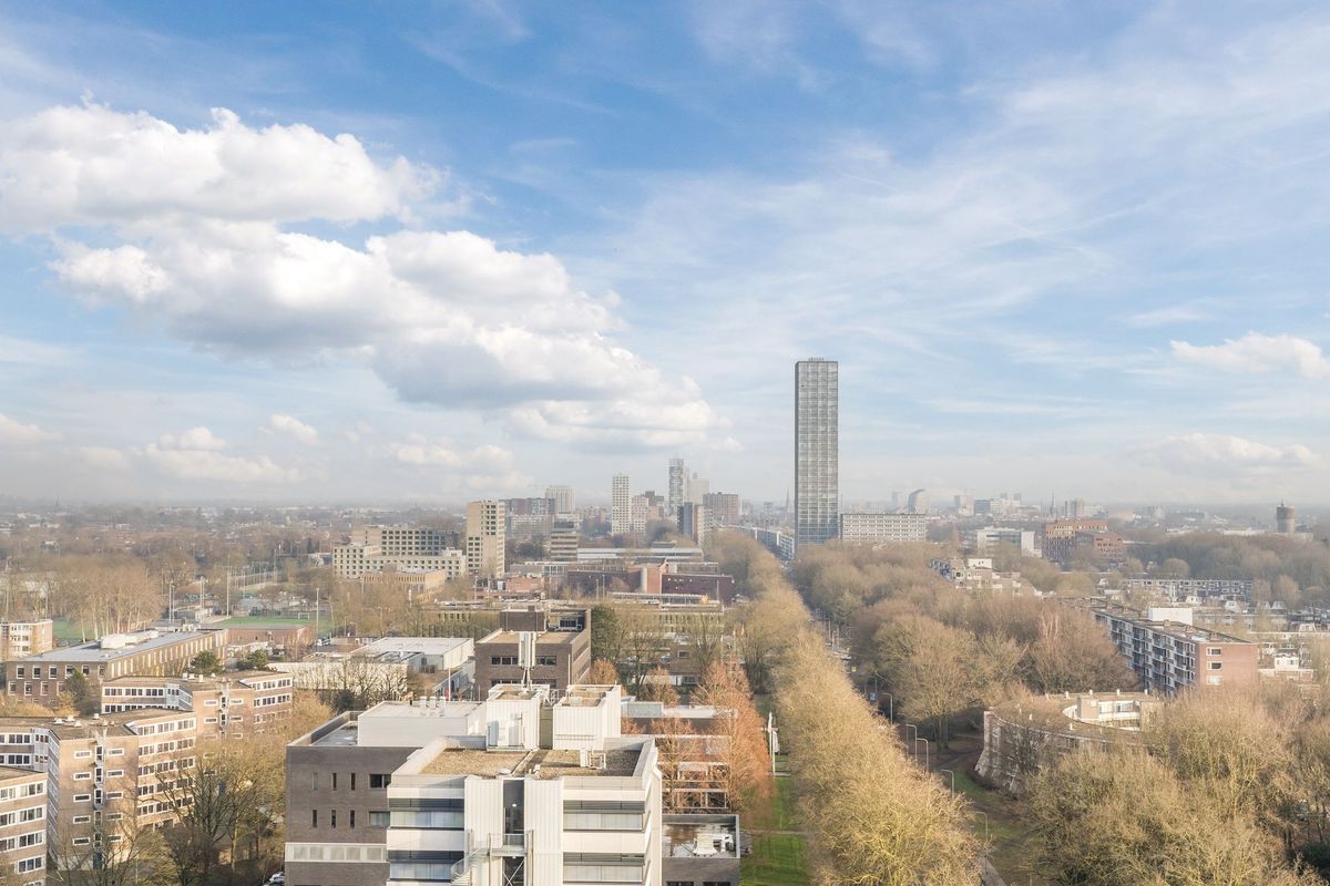 Professor de Moorplein 547 Photo Blur 13