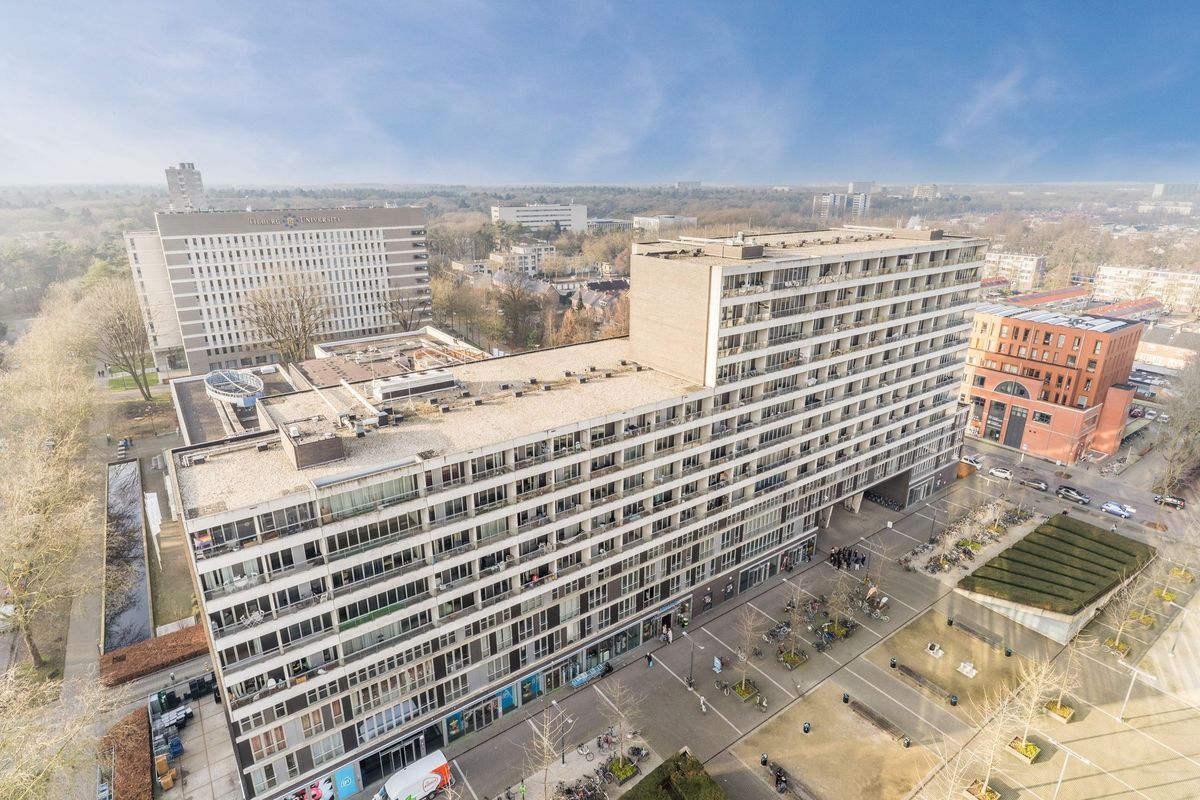 Professor de Moorplein 547 Photo Blur 21