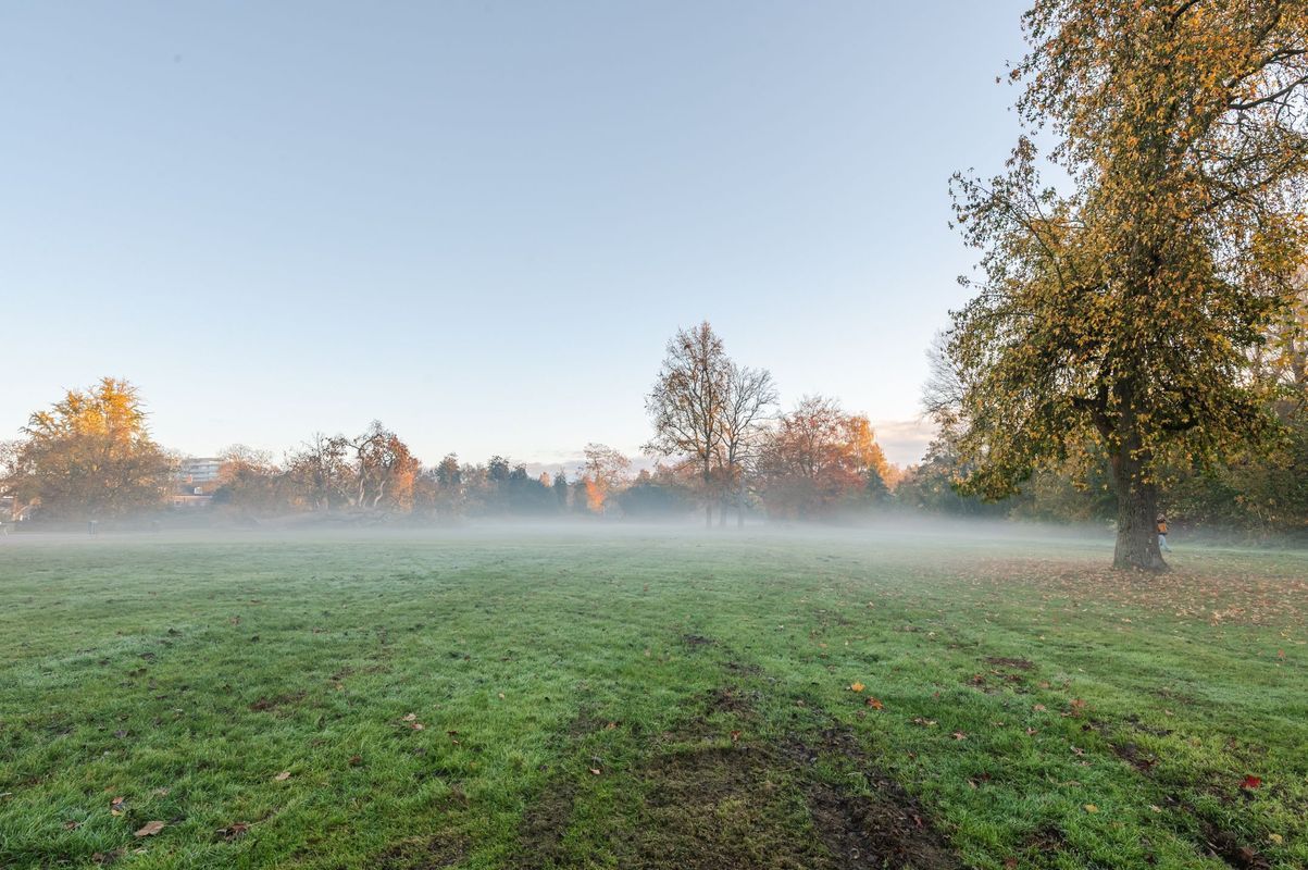 Gestelsestraat 170 - B Photo Blur 47