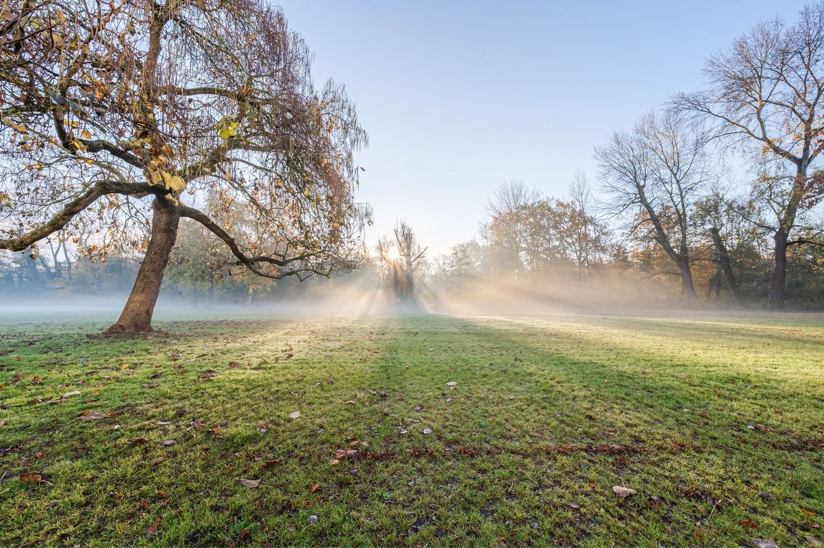 Gestelsestraat 170 - B Photo Blur 49
