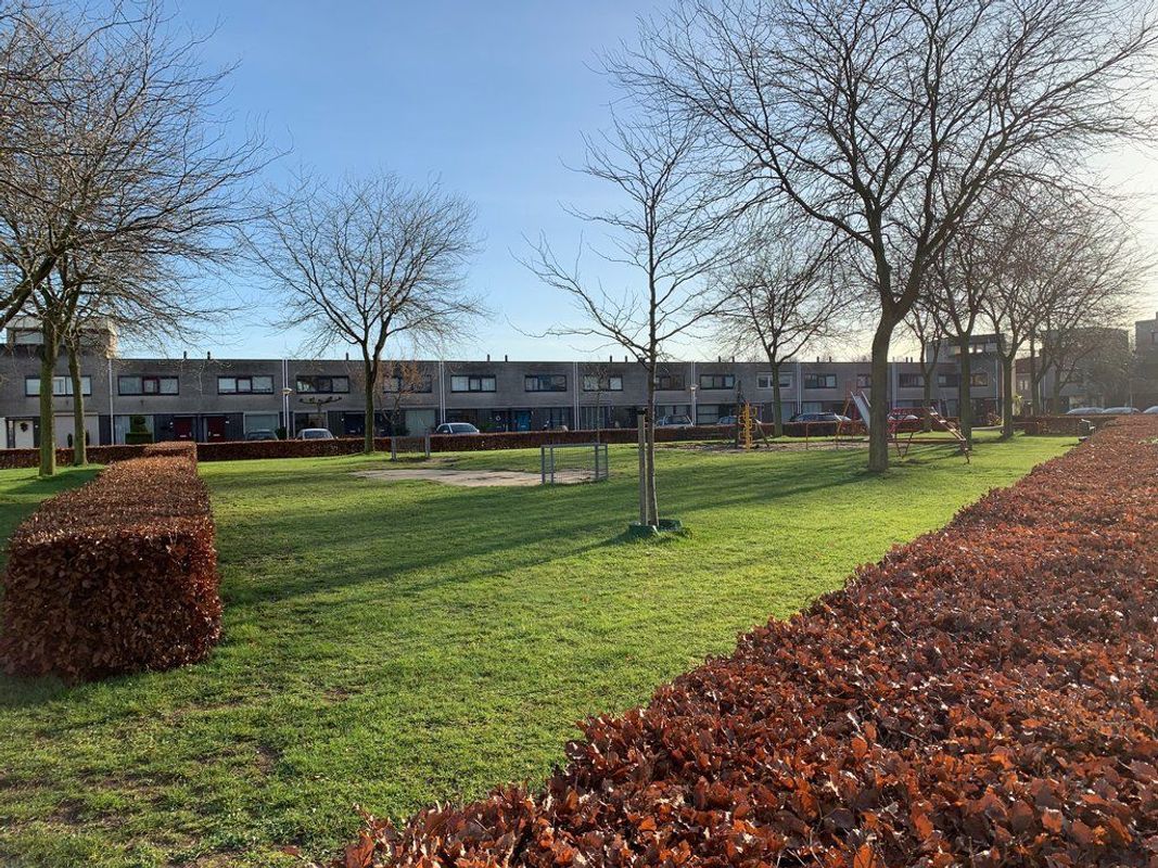 Nieuwkoopplein 39 Photo Blur 1