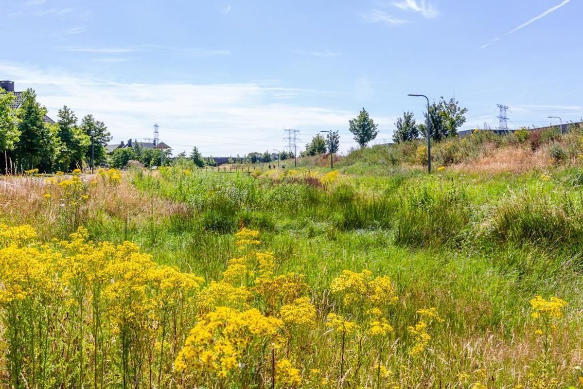 Craenweide 25 Photo Blur 5