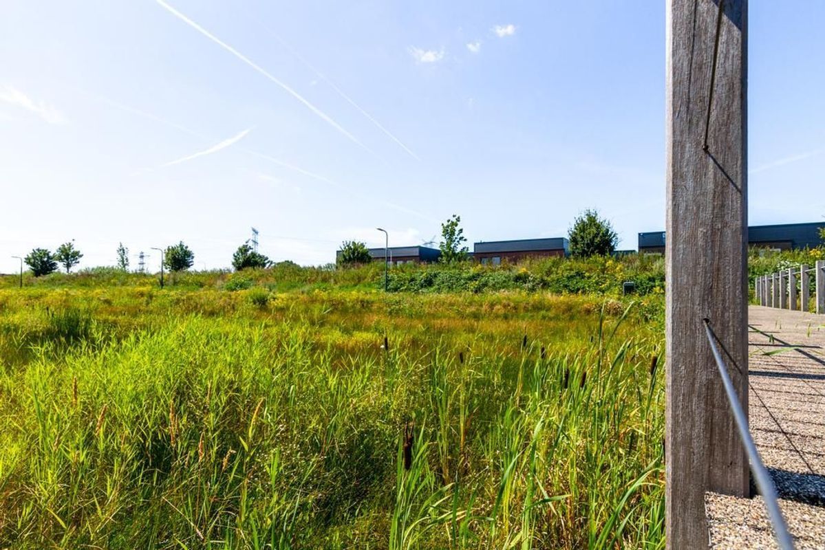 Craenweide 25 Photo Blur 6