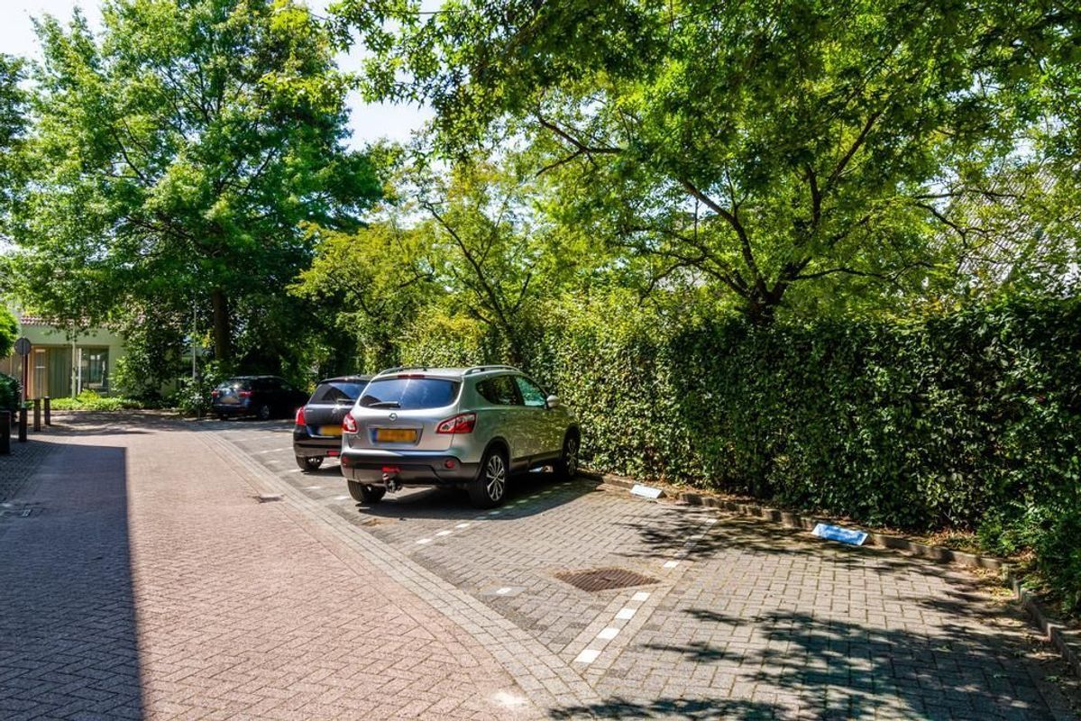 Craenweide 25 Photo Blur 3