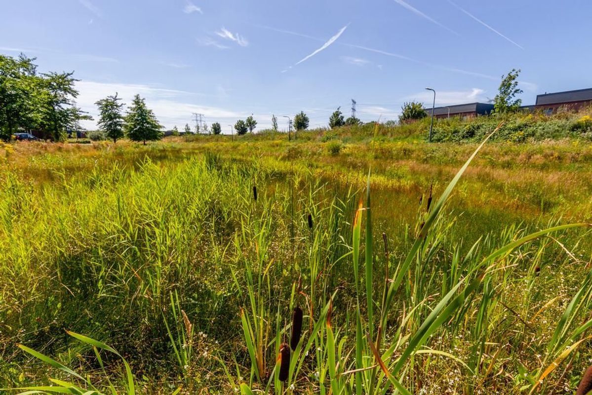 Craenweide 25 Photo Blur 7