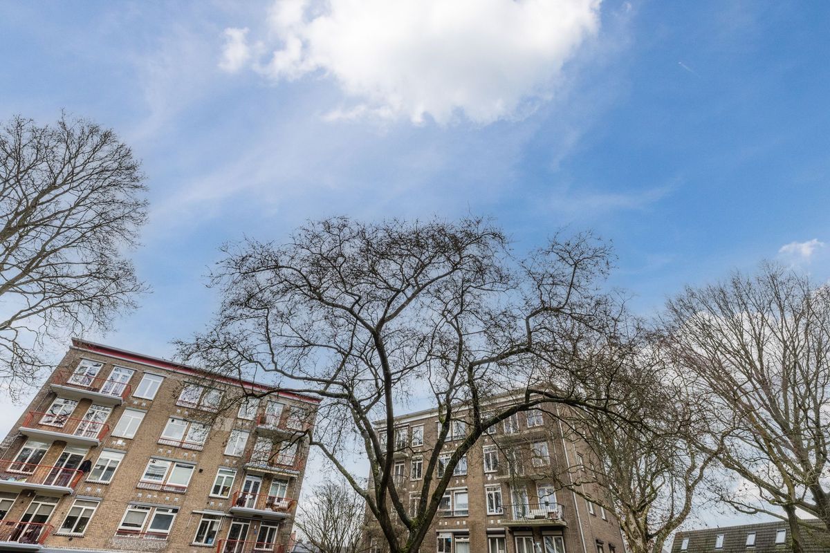 Pieter Brinkmanstraat 13 Photo Blur 33