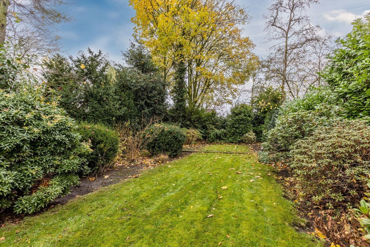 Statenlaan 19 Photo Blur 24