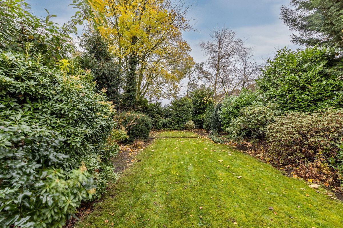 Statenlaan 19 Photo Blur 23