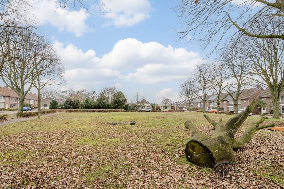 Wede 15 Photo Blur 56