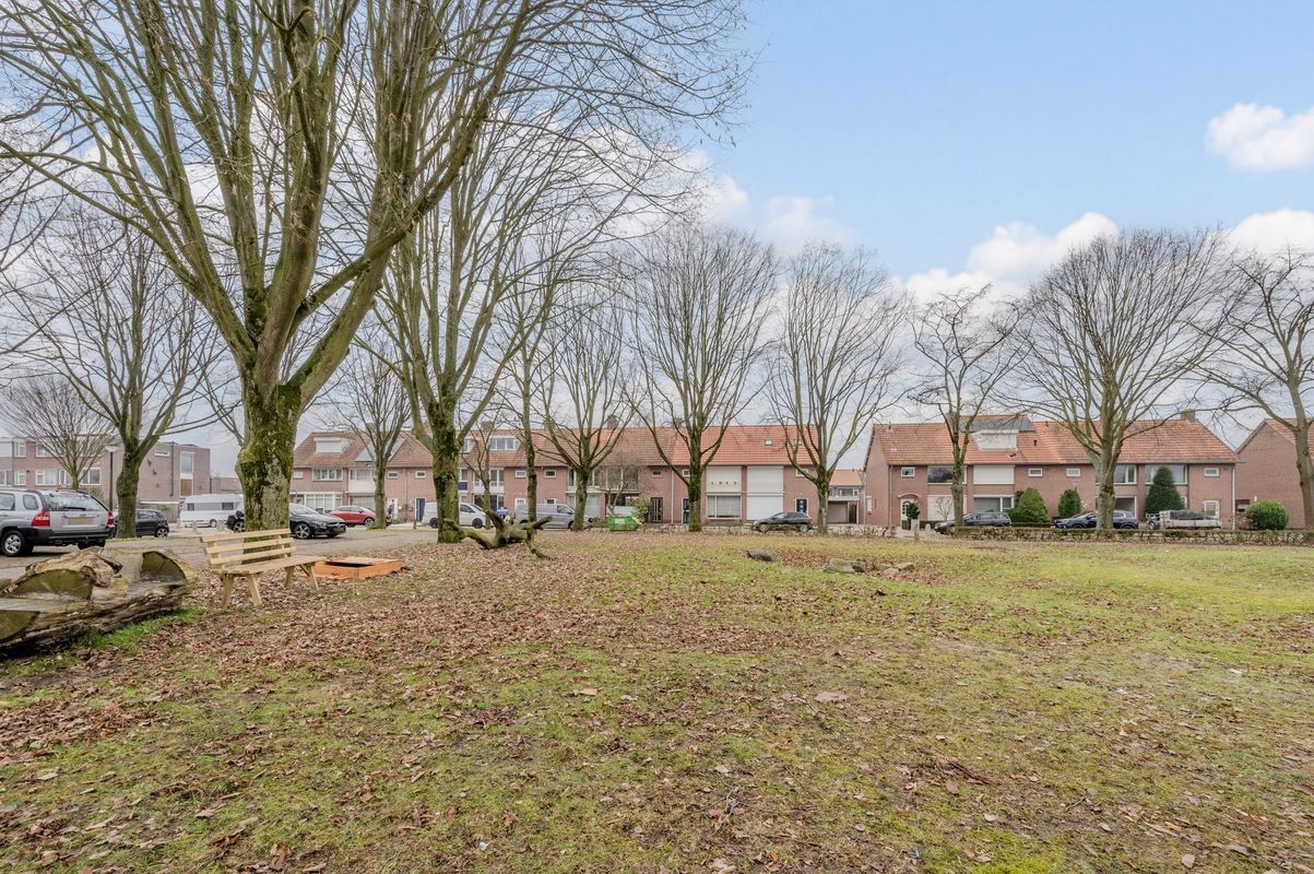 Wede 15 Photo Blur 58