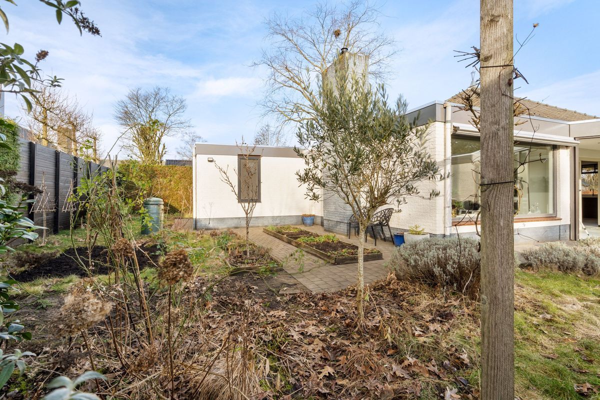 Oude Rijsbergsebaan 9 Photo Blur 44