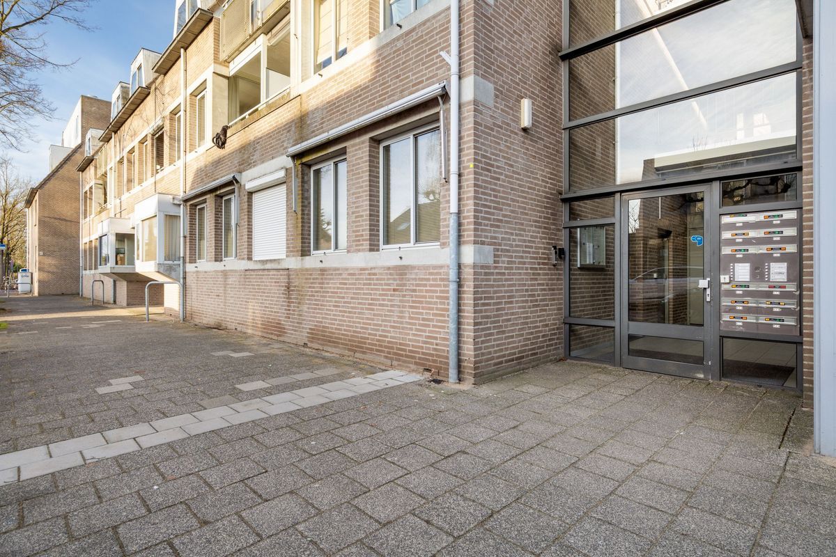 Withof 6 Photo Blur 4