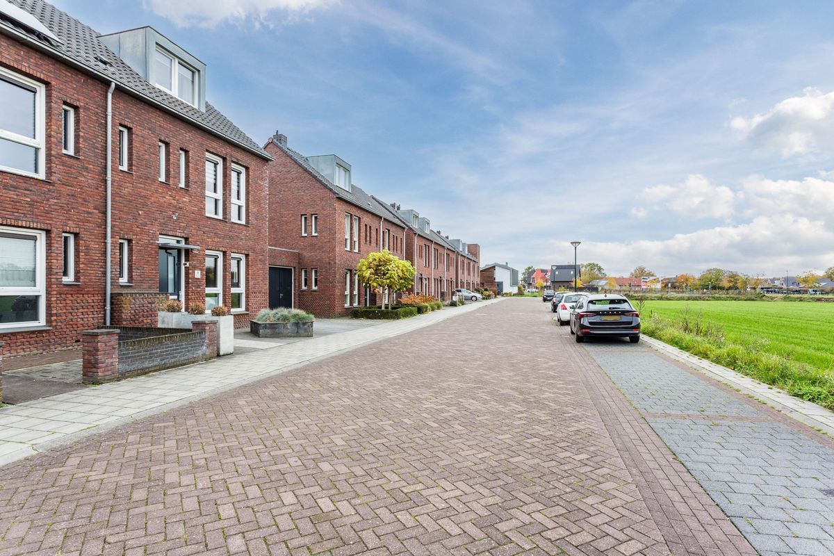 Leeuwerik 9 Photo Blur 4