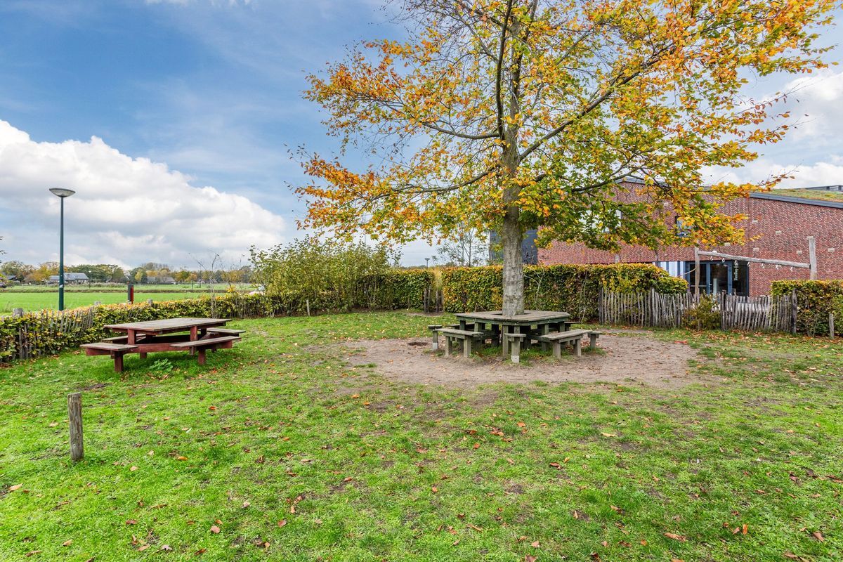 Leeuwerik 9 Photo Blur 53