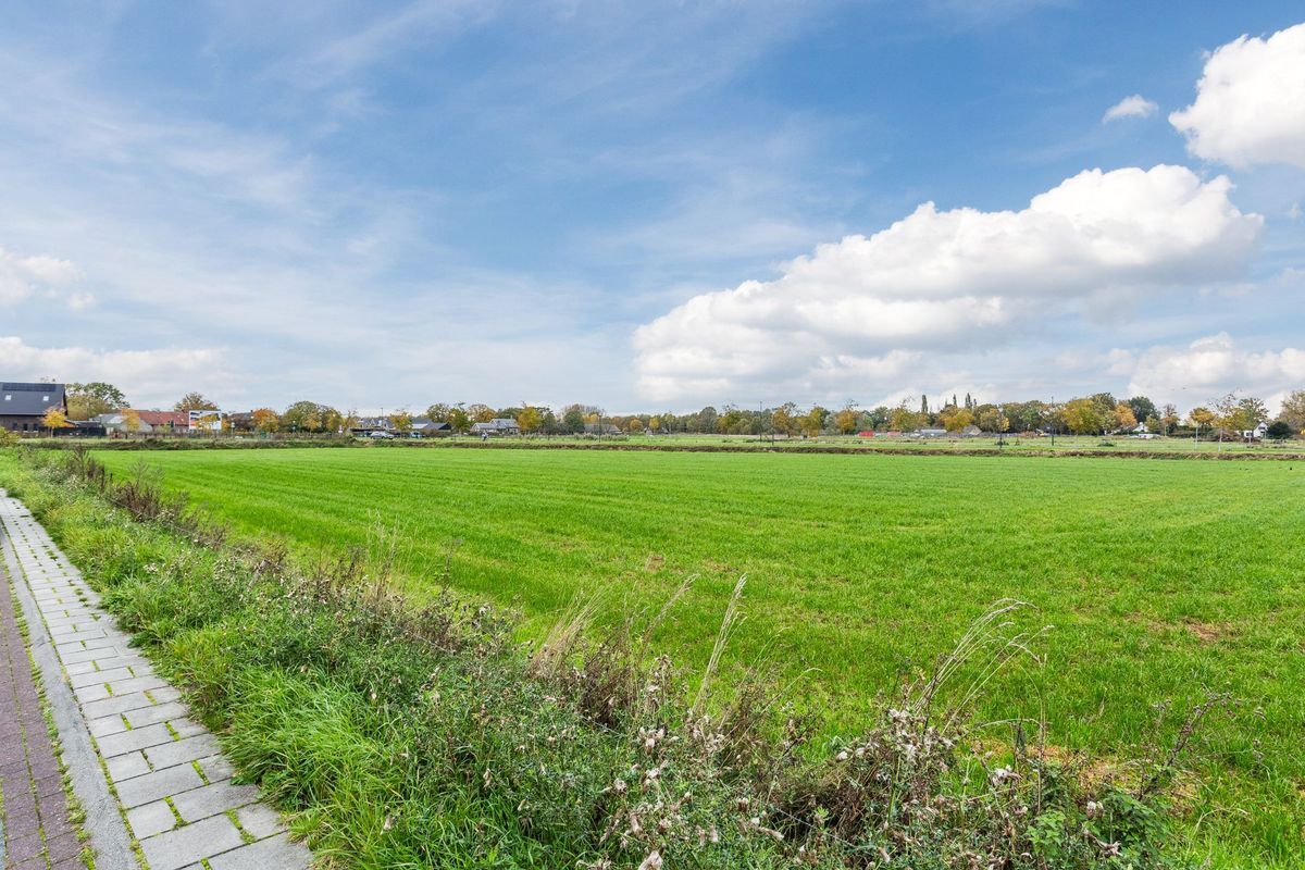 Leeuwerik 9 Photo Blur 54