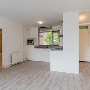 Pascalerf 84 Photo 2