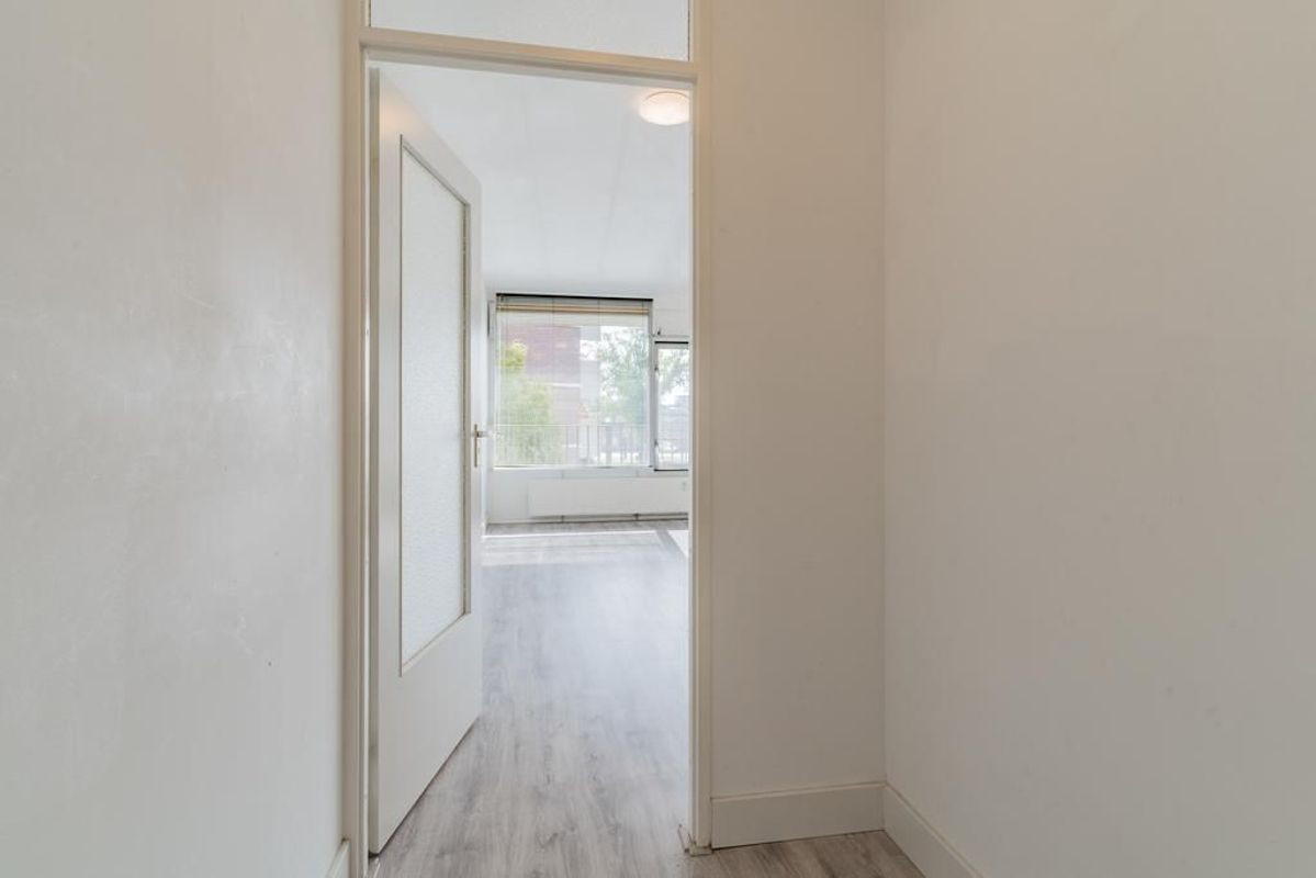 Pascalerf 84 Photo Blur 13