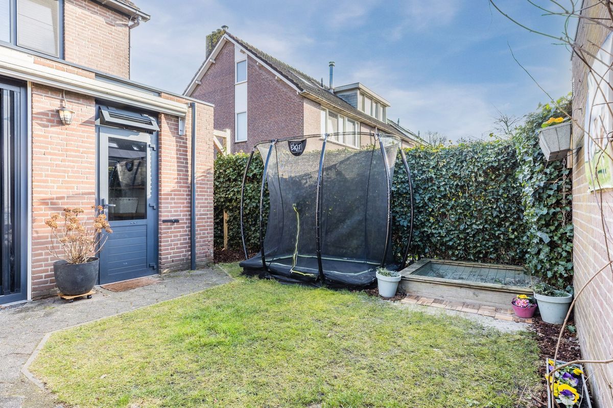 Roskamp 12 Photo Blur 23