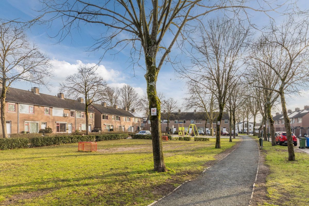 Roskamp 12 Photo Blur 47