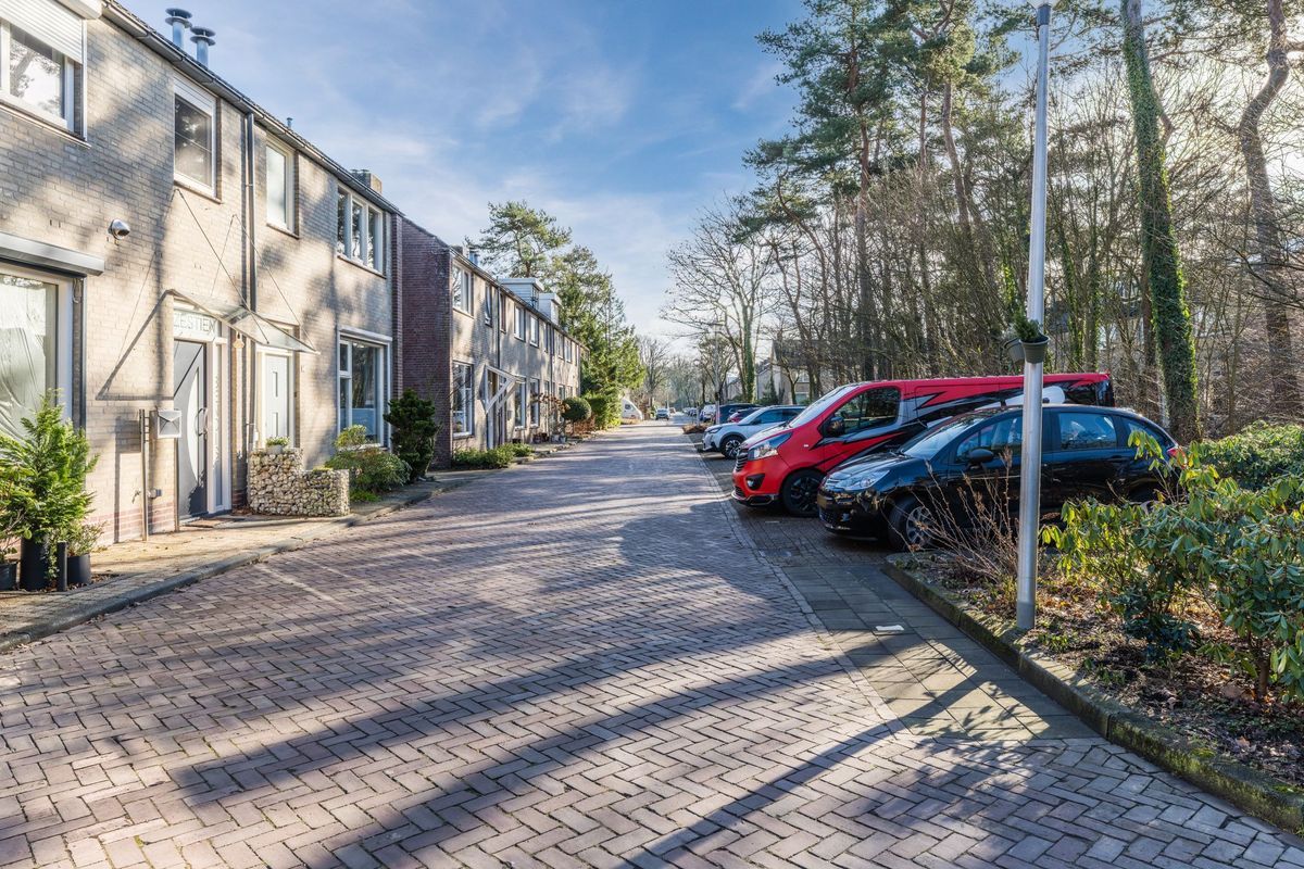 van Bossehof 20 Photo Blur 40