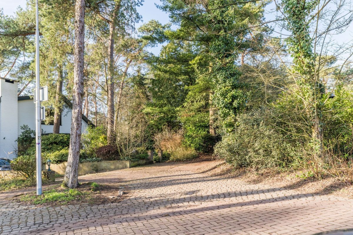 van Bossehof 20 Photo Blur 41