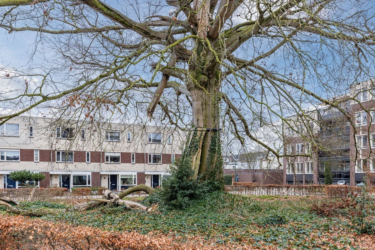 Rosariopark 99 Photo Blur 33