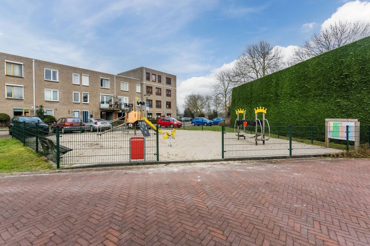 De Burght 55 Photo Blur 48