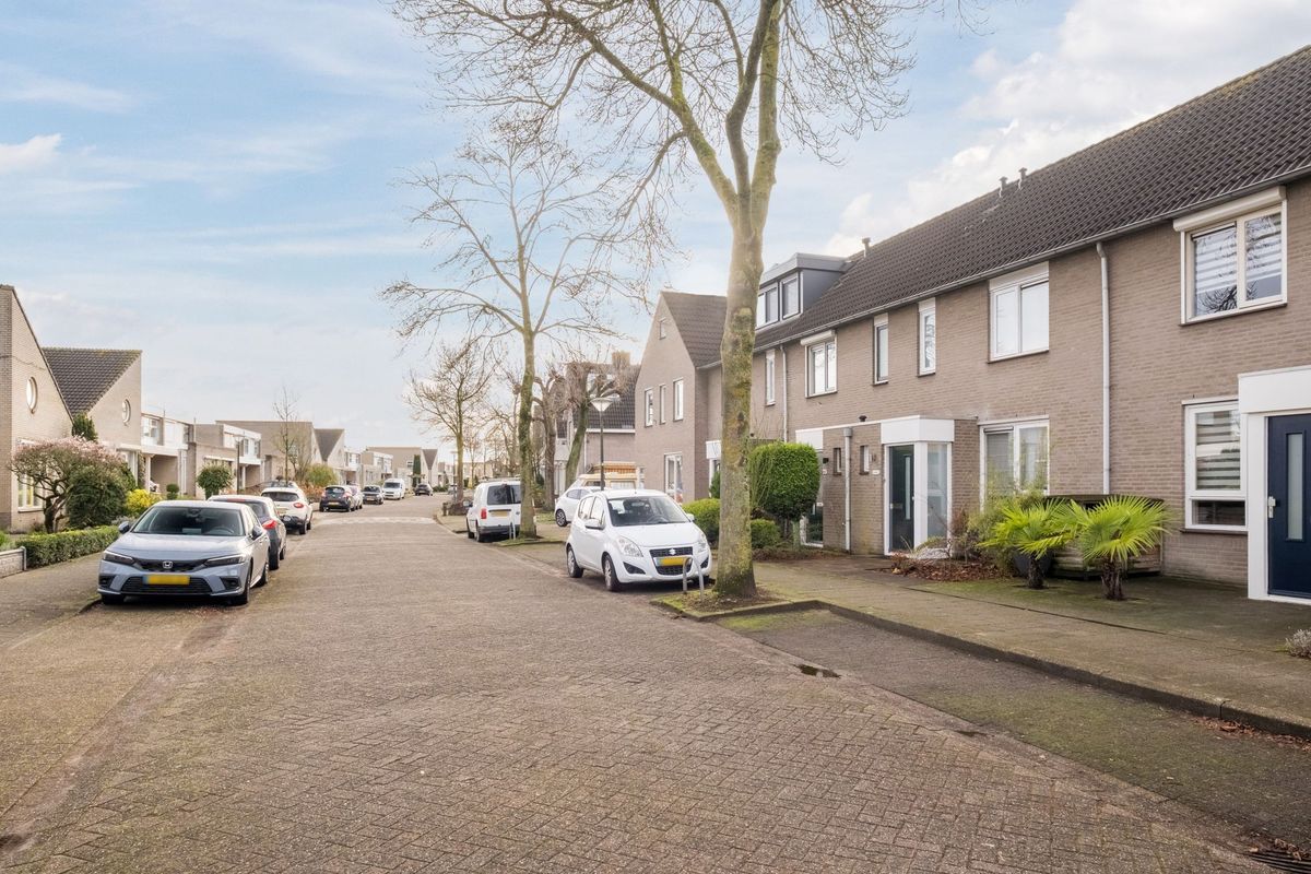 Elendil 77 Photo Blur 35