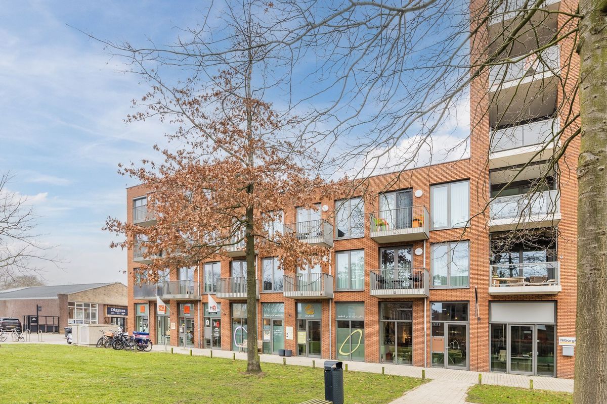 Galjoenstraat 28 - 03 Photo Blur 25