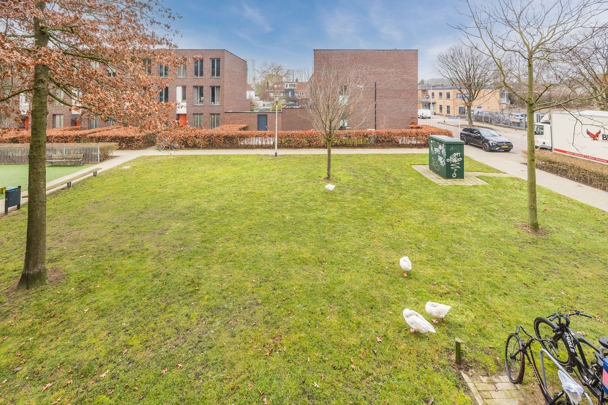 Galjoenstraat 28 - 03 Photo Blur 11