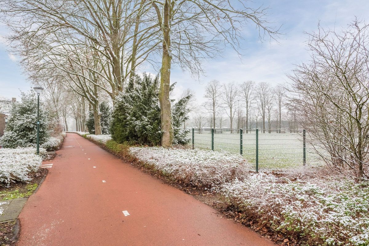 Dolik 11 Photo Blur 48