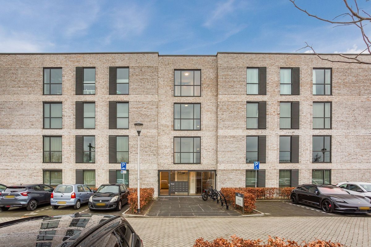 Jonkheer 49 Photo Blur 5