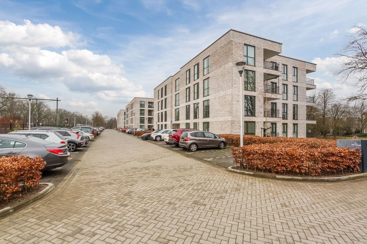 Jonkheer 49 Photo Blur 59