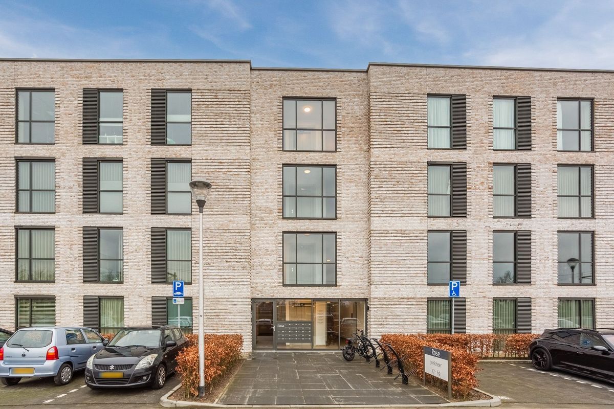 Jonkheer 49 Photo Blur 62