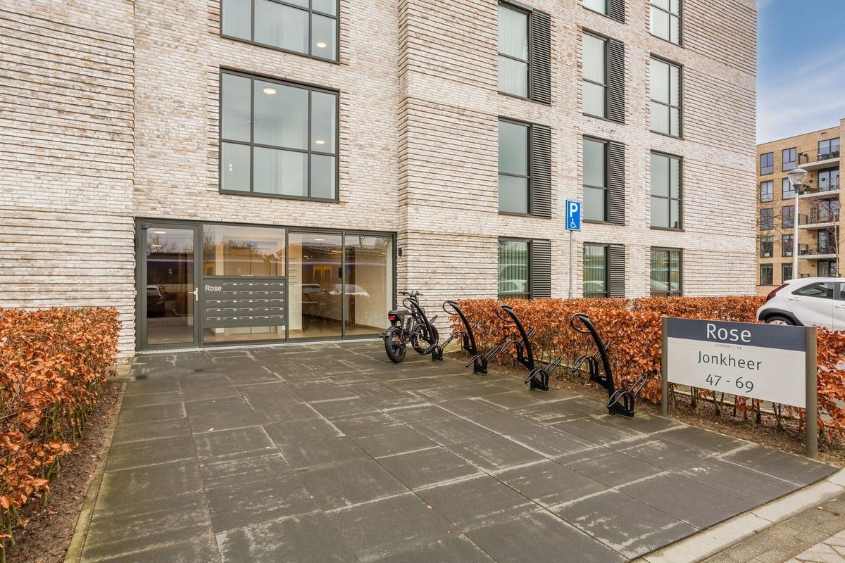 Jonkheer 49 Photo Blur 6