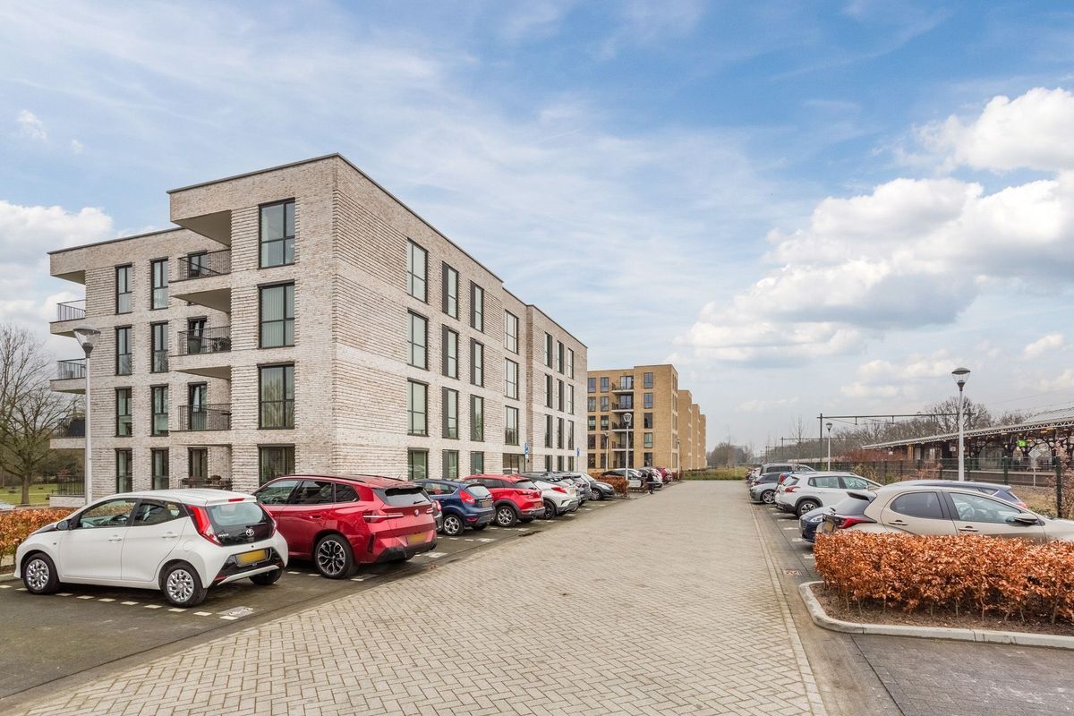 Jonkheer 49 Photo Blur 4