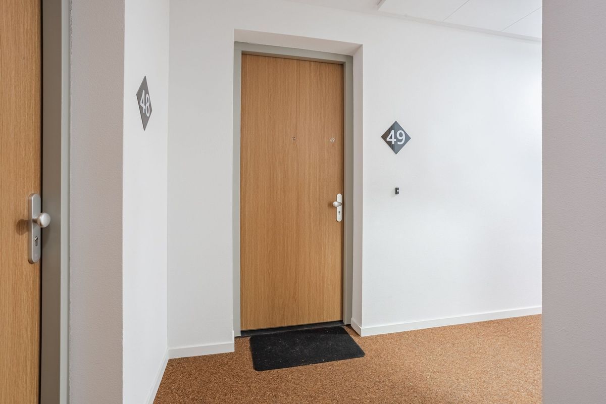 Jonkheer 49 Photo Blur 9